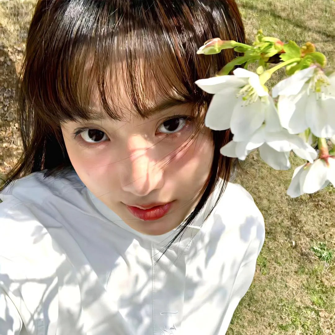 菲德拉